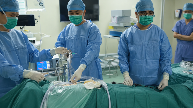 Common Bile Duct Stones: Non-Surgical "Transoral Stone Removal"